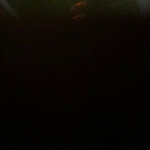 Meet your Posher, Annie